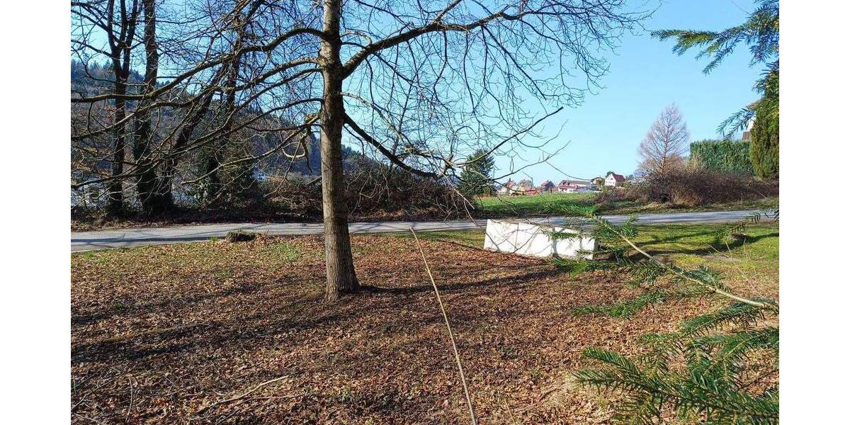 Grundstück Wilhelmsfeld - 685.000&euro; | Angebot:25804734