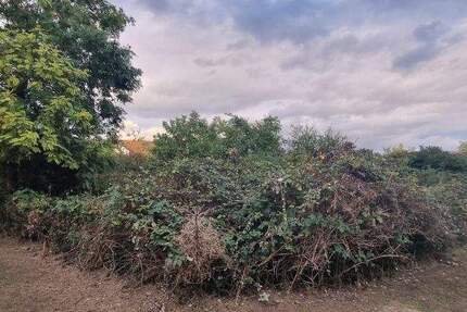 Bauplatz in TOP-Lage von MA-Seckenheim - 0-4004 zimmer
