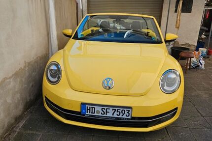 VW Beetle