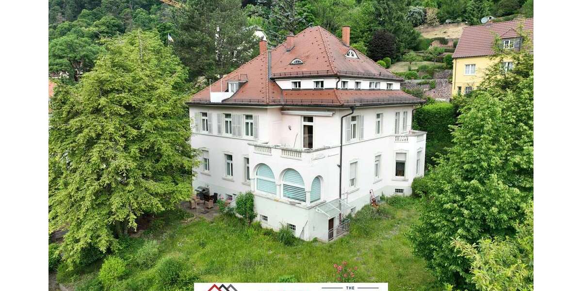 Haus zum Kaufen in Heidelberg 4.499.000 € 513 m² 13.5 zimmer