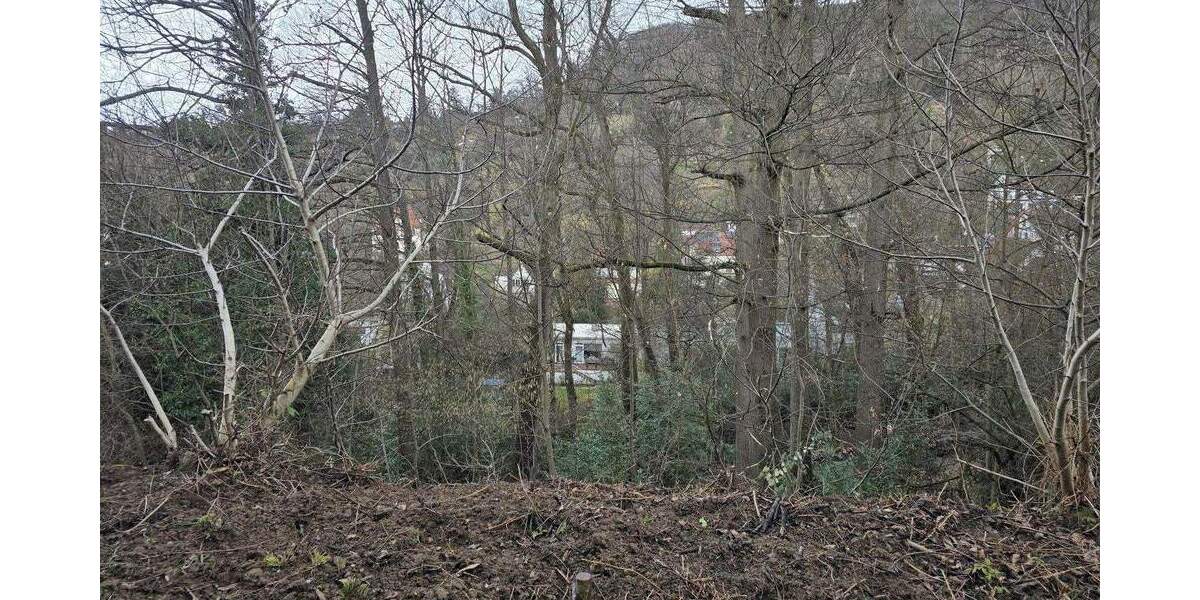 Mehrfamilienhaus, Wohnhaus Heidelberg Handschuhsheim - 8 Zimmer, 231 m&sup2;, 970.000&euro; | Angebot:25038049