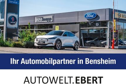 Ford Mustang Mach-E 41.990 km 34.690 &euro; Bensheim 64625