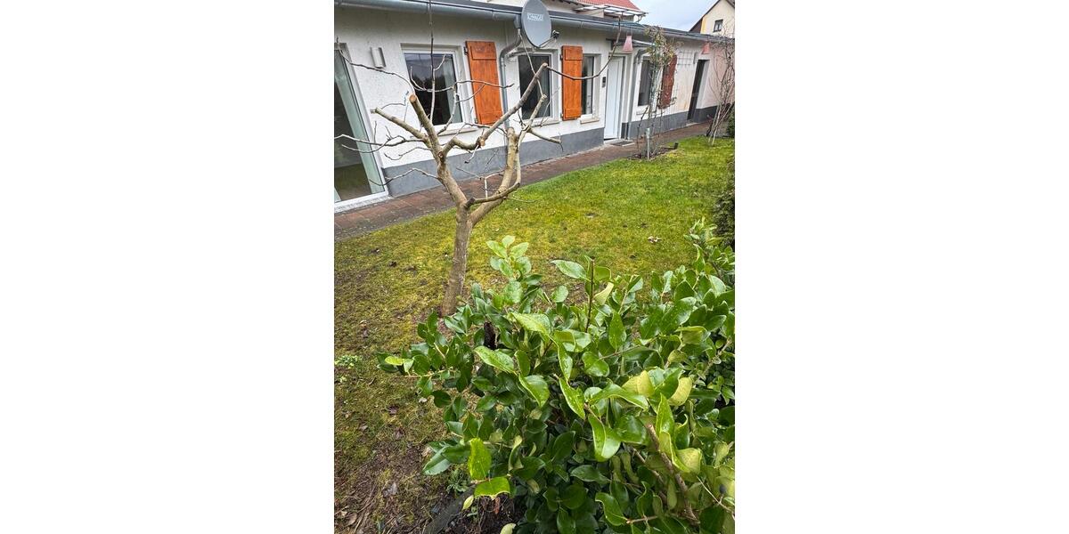 Erdgeschoßwohnung Lampertheim - 1.5 Zimmer, 44 m&sup2;, 800&euro; | Angebot:25297864