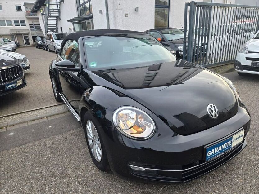 Beetle