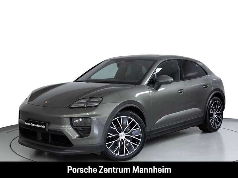 Macan