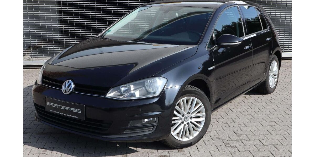 VW Golf 179.345 km 8.700 &euro; Zwingenberg (bei Bensheim) 64673