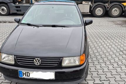 VW Polo
