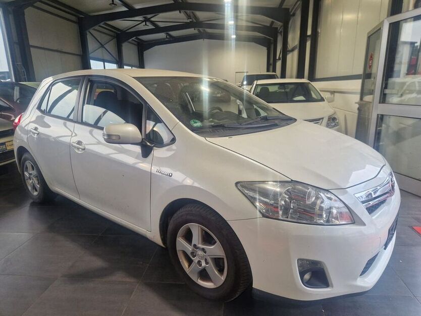 Auris