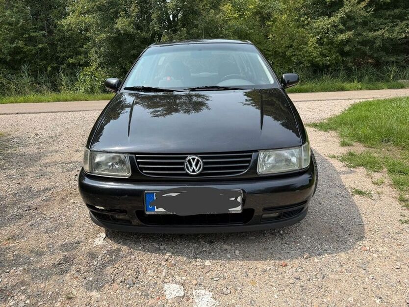 Polo