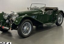 Jaguar Andere