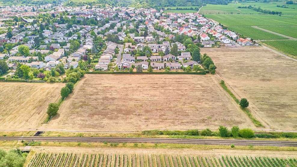 Grundstück zu verkaufen in Wachenheim 429.250 € 505 m²