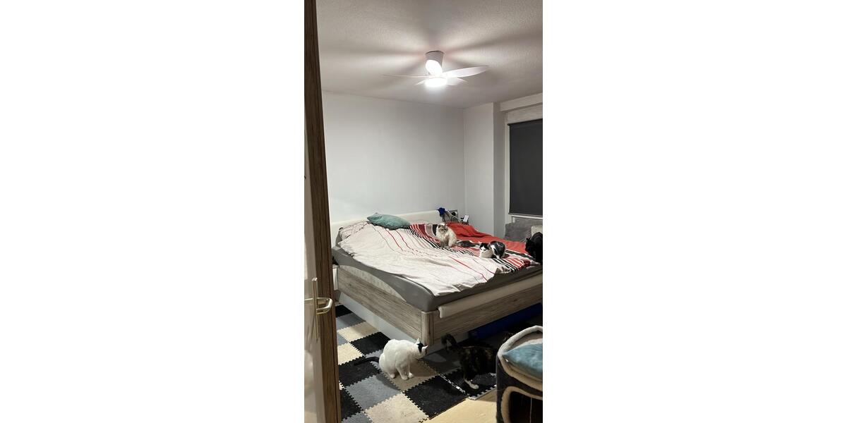 Etagenwohnung Ludwigshafen am Rhein Ludwigshafen-Hemshof - 3 Zimmer, 85 m&sup2;, 255.000&euro; | Angebot:26294810