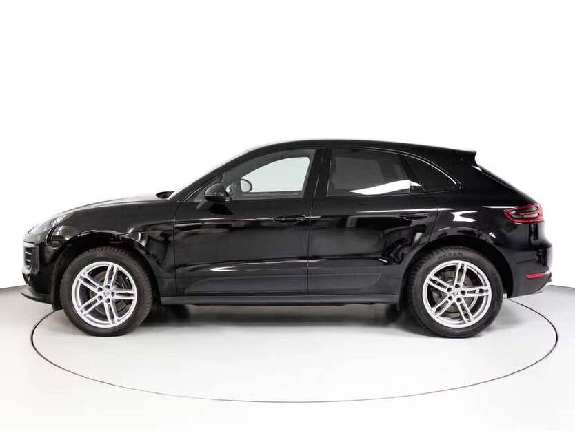 Macan