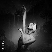 Grand Classic Ballet - Schwanensee - Jenseits der Bühne mit live Streichquartett 13.09.2026 Palatinum Mutterstadt