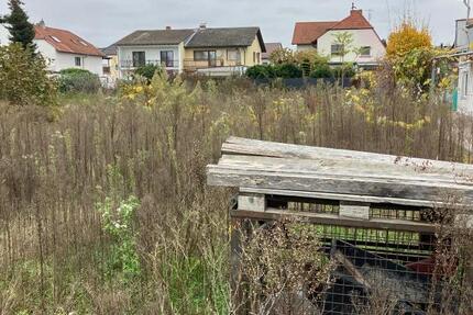 ObjNr:19087 - Voll erschlossenes Baugrundstück in Speyerer Bestlage - Grundstück Speyer | Angebot:19536936