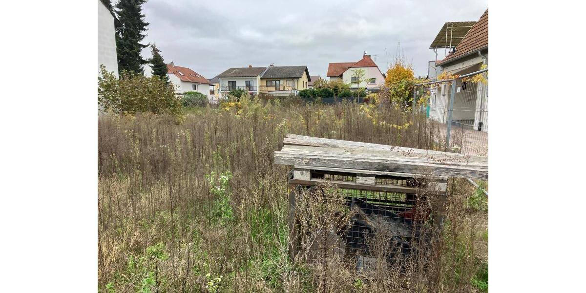 ObjNr:19087 - Voll erschlossenes Baugrundstück in Speyerer Bestlage - Grundstück Speyer | Angebot:19536936