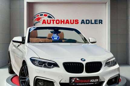 BMW 220 114.900 km 24.300 &euro; Worms 67549