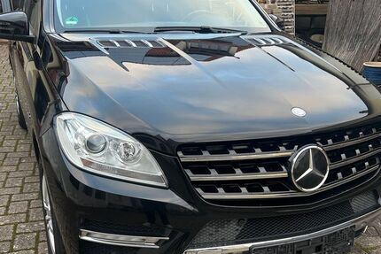 Mercedes-Benz ML 350 228.500 km 16.950 &euro; Römerberg 67354