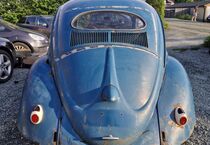 VW Beetle