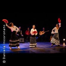 Mi Mundo Flamenco - Flamenco Mannheim