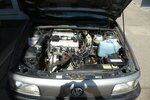 VW Passat KOMBI B3 GT SYNCRO ALLRAD NASENBÄR 2E 232.765 km 1.985 &euro; Dossenheim 69221