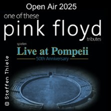 One Of These Pink Floyd Tributes - Live at Pompeii Mannheim