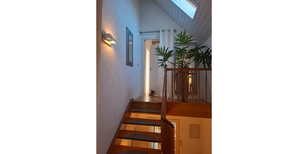 Mehrfamilienhaus, Wohnhaus Waghäusel - 10 Zimmer, 240 m&sup2;, 575.000&euro; | Angebot:26088659