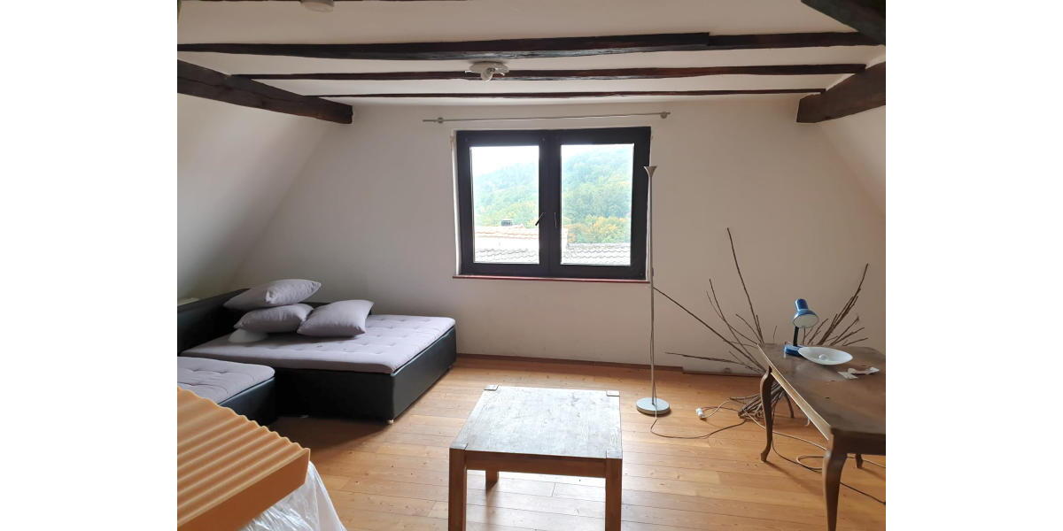 ObjNr:18889 - Freistehendes Mehrgenerationenhaus im Herzen der Burgstadt - Zweifamilienhaus Neuleiningen | Angebot:15064631