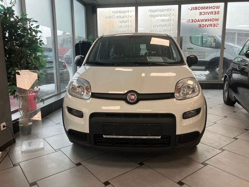 Panda