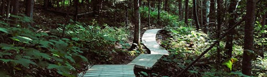 Erlebnishöhe Wald-Michelbach Odenwald