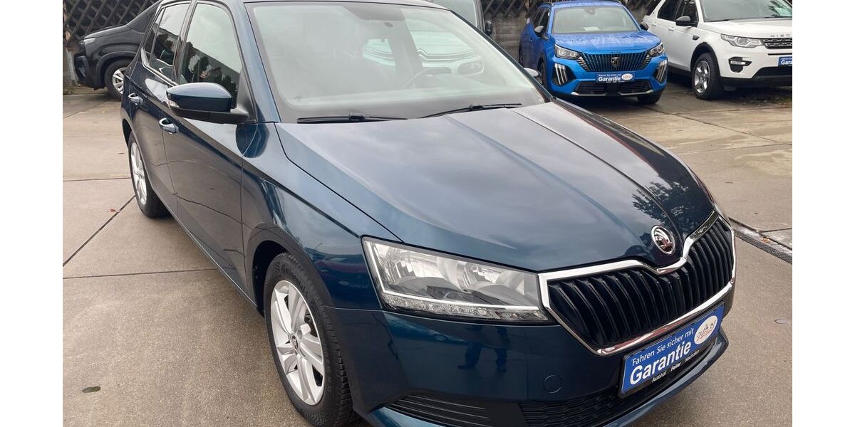 Skoda Fabia 85.000 km 12.500 &euro; Neuhofen 67141