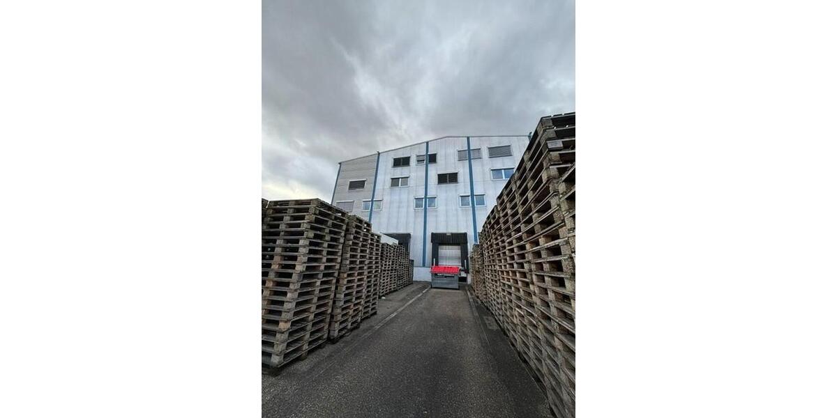 Gewerbeobjekt Reilingen - 8.487&euro; | Angebot:23331998