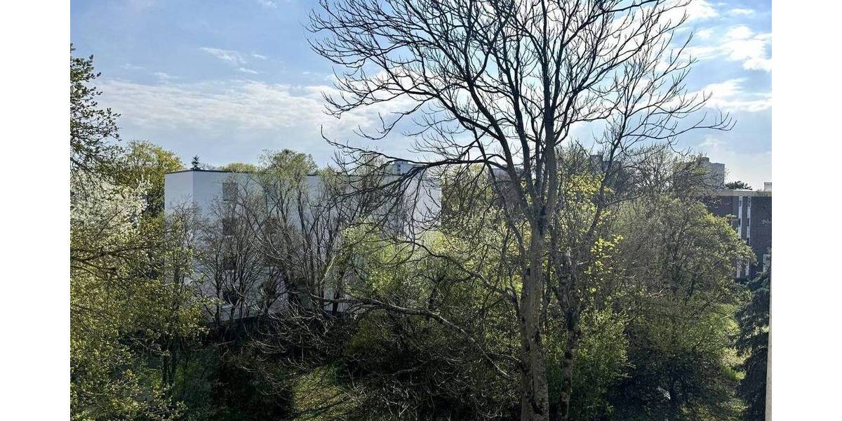 Etagenwohnung Mannheim Vogelstang - 3 Zimmer, 80 m&sup2;, 157.000&euro; | Angebot:26260827