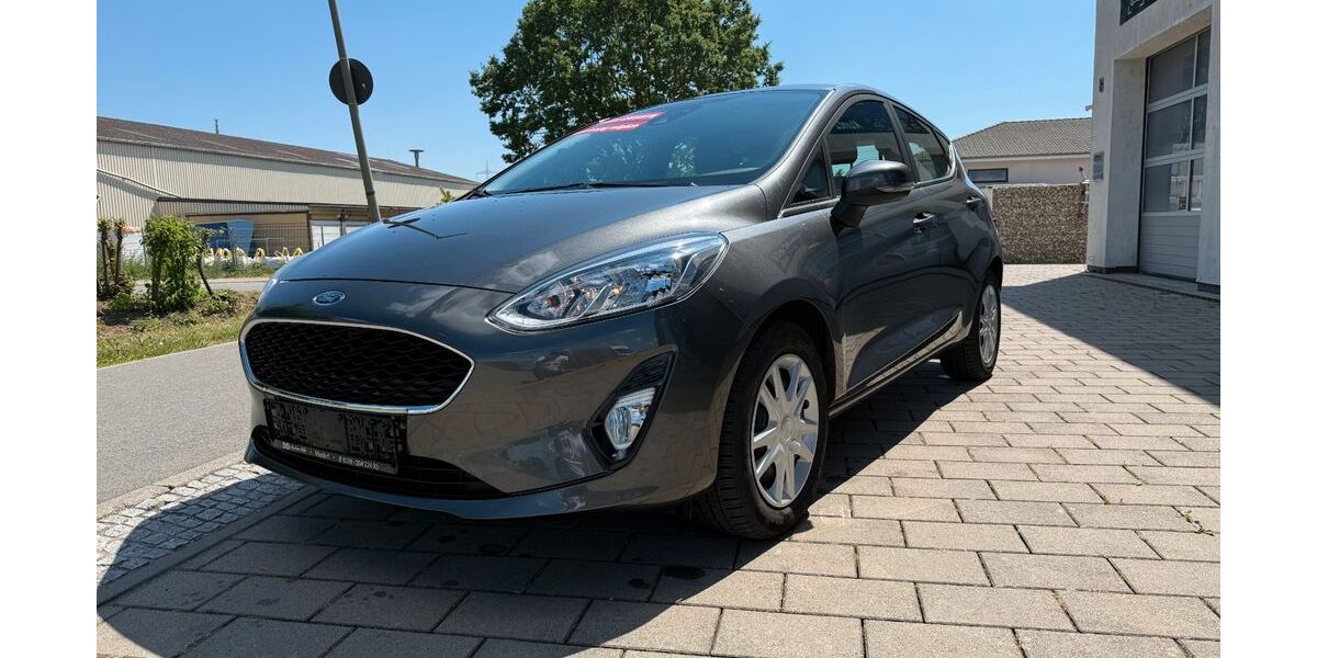 Ford Fiesta 120.000 km 7.190 &euro; Maxdorf 67133