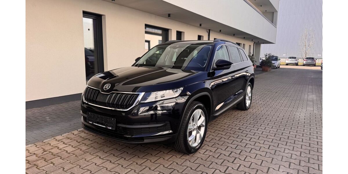 Skoda Kodiaq 134.000 km 24.900 &euro; Worms 67547