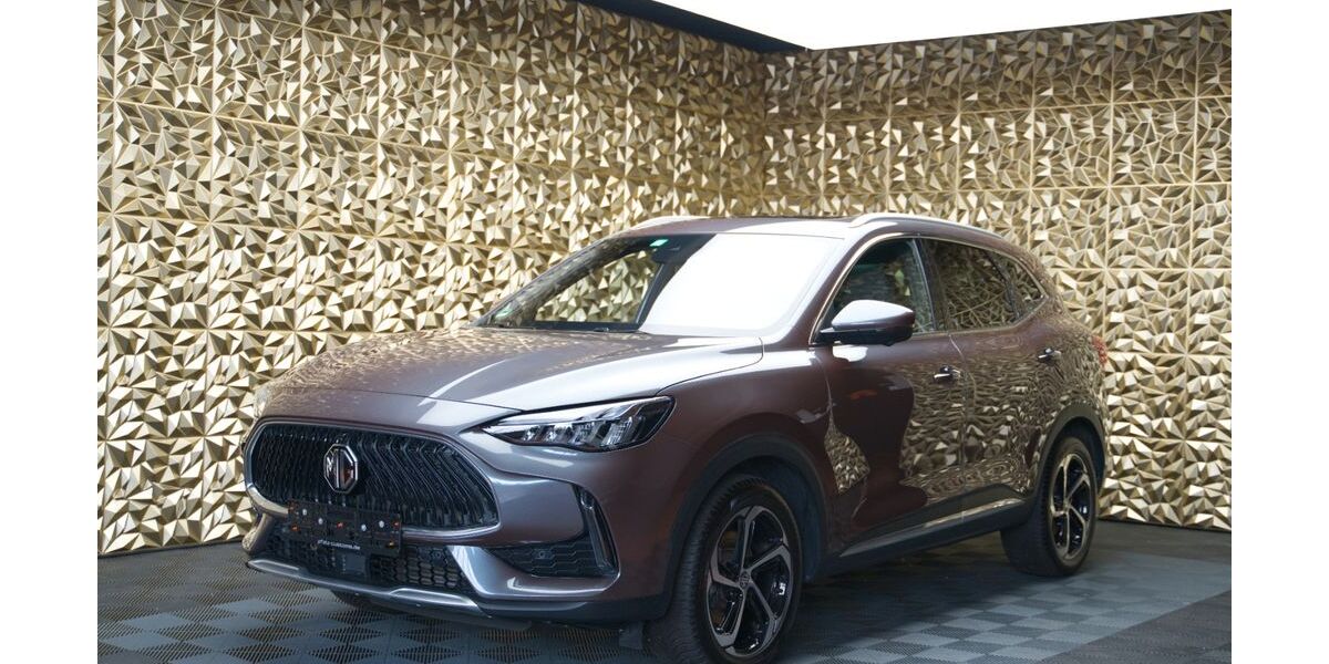 MG HS 31.569 km 24.900 &euro; Haßloch 67454