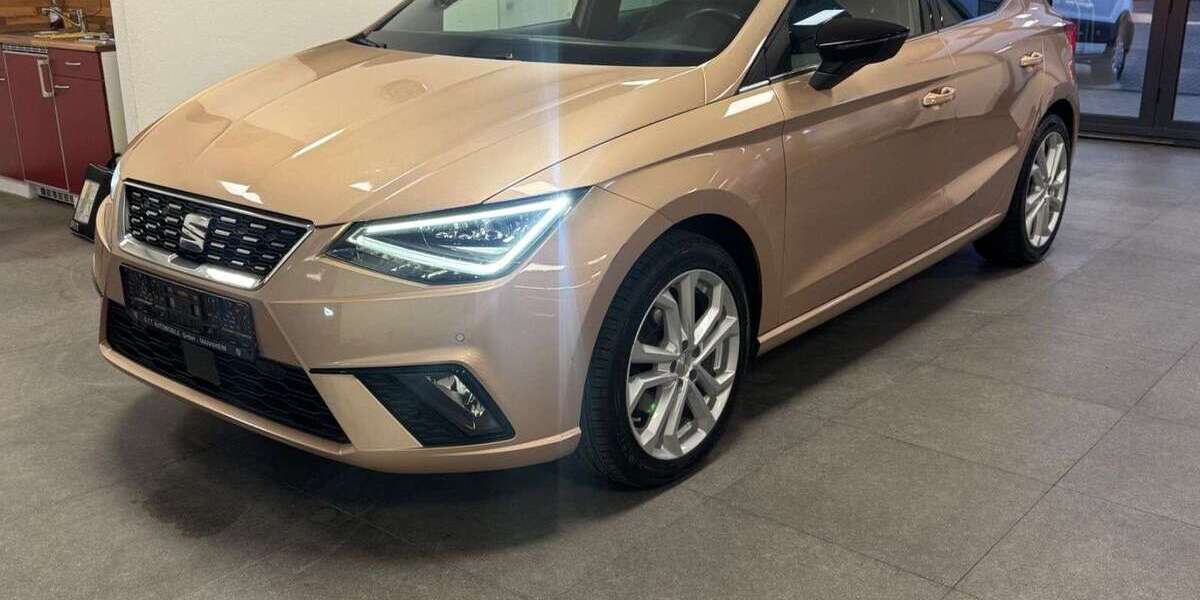 Seat Ibiza 127.000 km 10.950 &euro; Mannheim 68169