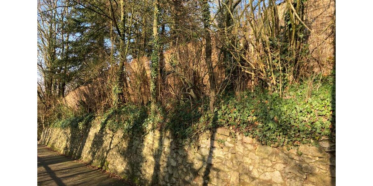 Grundstück Weinheim - 69.000&euro; | Angebot:23843184