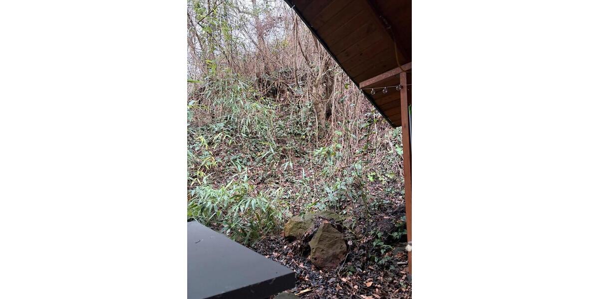 1- Zimmer Wohnung Bad Dürkheim 1 zimmer