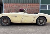 Austin Healey Andere