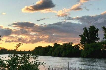 Wohn- u. Geschäftshs. mit Scheune u. Hinterhaus zum Neckar in Edingen - 60003985 1 zimmer