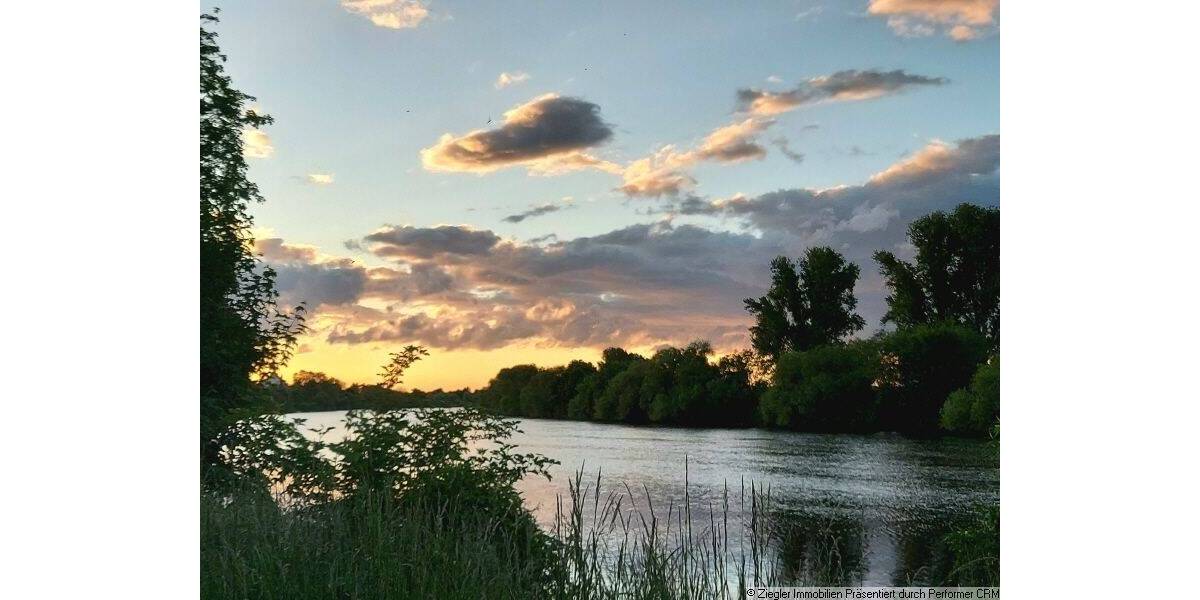 Wohn- u. Geschäftshs. mit Scheune u. Hinterhaus zum Neckar in Edingen - 60003985 1 zimmer