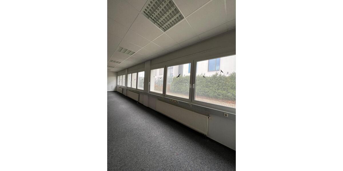 Gewerbeobjekt Sankt Leon-Rot Rot - 1.200&euro; | Angebot:23661702