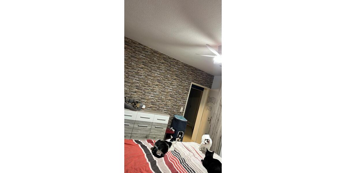 Etagenwohnung Ludwigshafen am Rhein Ludwigshafen-Hemshof - 3 Zimmer, 85 m&sup2;, 195.000&euro; | Angebot:26294810