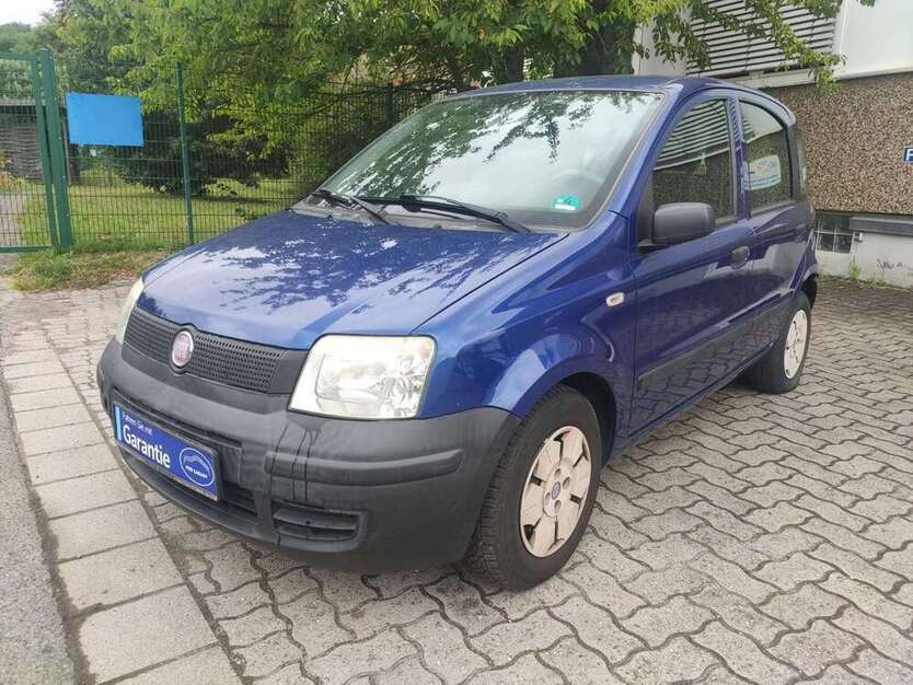 Panda