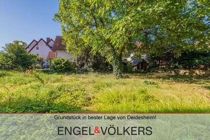 Grundstück zu verkaufen in Deidesheim 355.000 € 392 m² zimmer