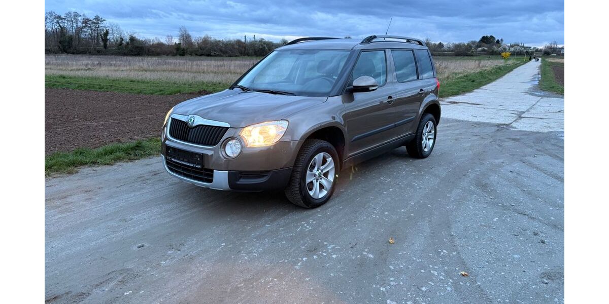 Skoda Yeti 180.000 km 4.500 &euro; Birkenau 69488