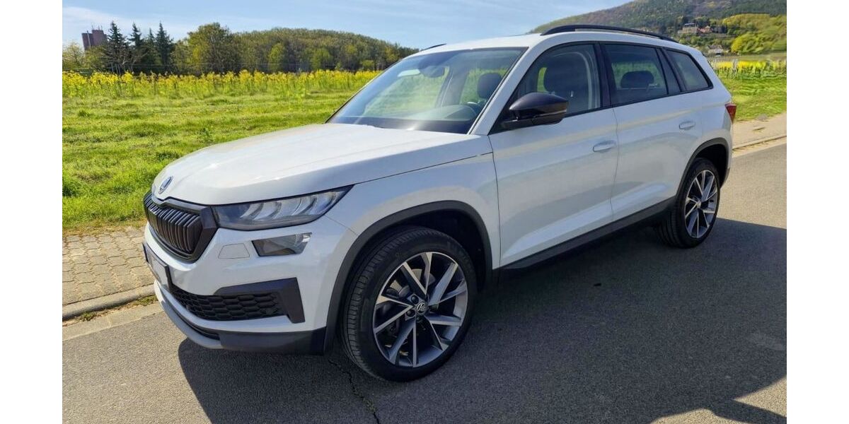 Skoda Kodiaq 69.990 km 28.690 &euro; Neustadt an der Weinstraße 67433