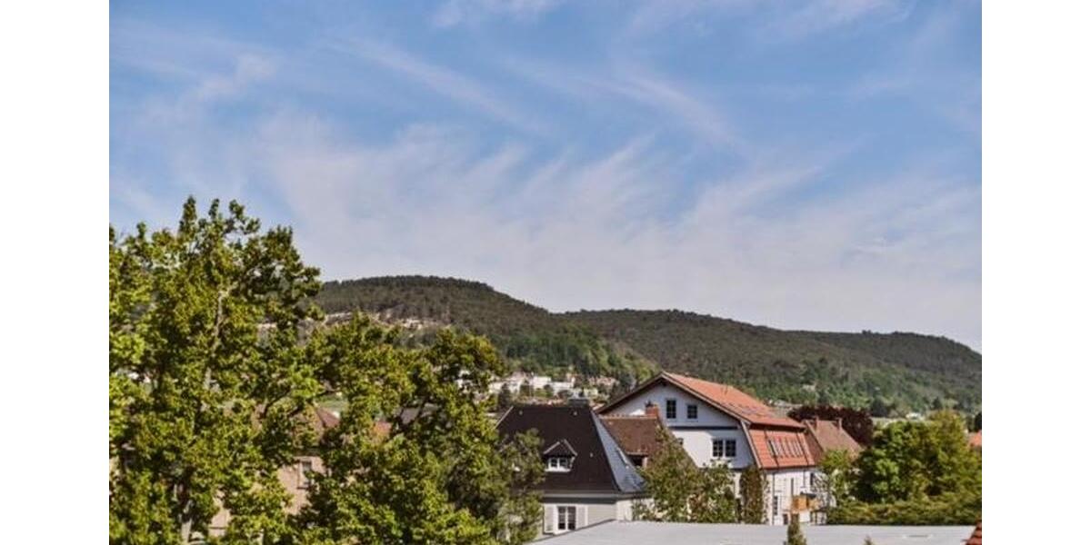 Terrassenwohnung Neustadt an der Weinstraße - 2 Zimmer, 62 m&sup2;, 1.100&euro; | Angebot:26615971