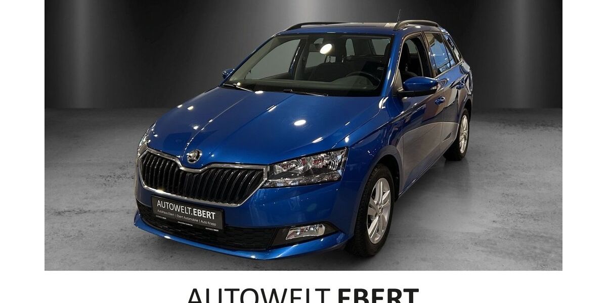 Skoda Fabia 50.794 km 10.950 &euro; Frankenthal 67227